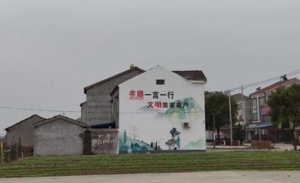 枣阳新农村墙绘